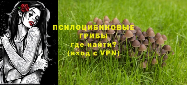 тгк Белокуриха
