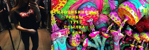 тгк Белокуриха