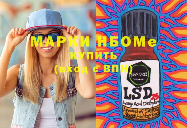 прущие грибы Баксан