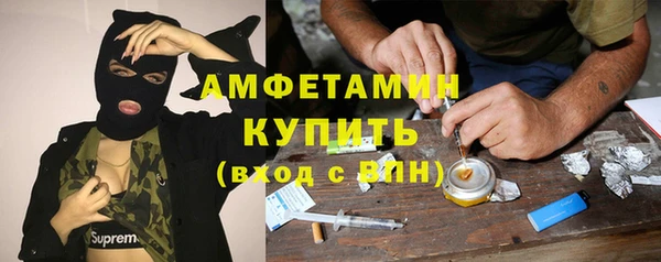прущие грибы Баксан